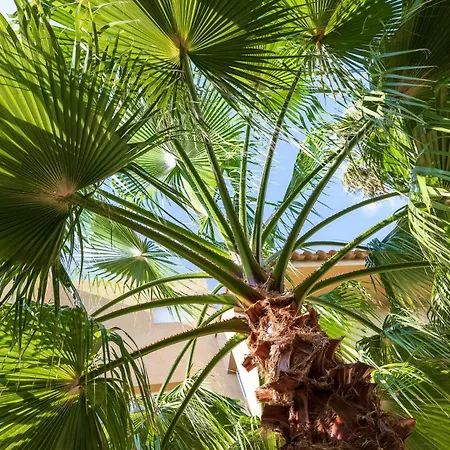 Marina Bianca Santa-Lucia-di-Moriani