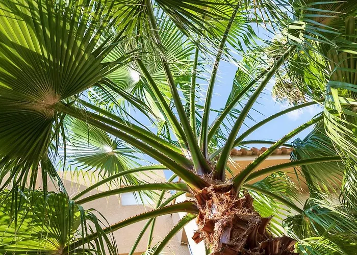 Marina Bianca Santa-Lucia-di-Moriani